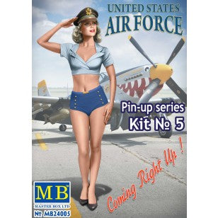 Pin Up Series Coming Right Up 1/24